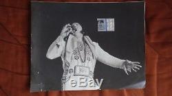 Elvis Presley Rare Black and White Concert Photo 1977 11x14 and Ticket Stub