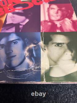 Lot of Vintage New Kids On The Block Tour Concert Program Book 90s+ticket stubs