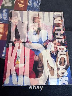 Lot of Vintage New Kids On The Block Tour Concert Program Book 90s+ticket stubs